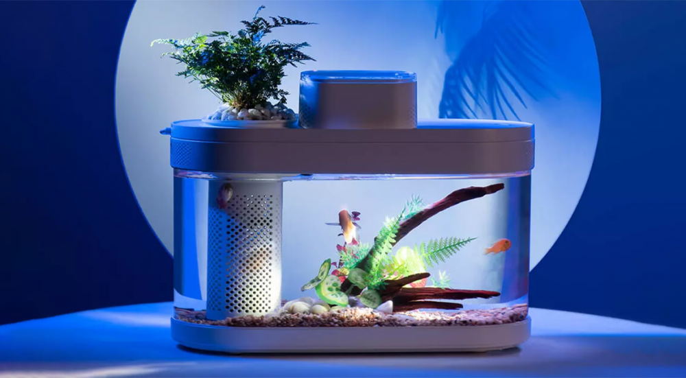 “Xiaomi” şirkəti ağıllı akvarium hazırlayıb
