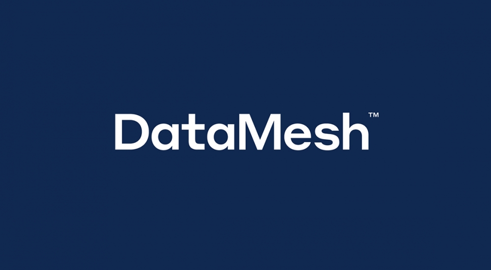 FinTech sahəsində olan DataMesh Group 30 milyon dollar investisiya alıb