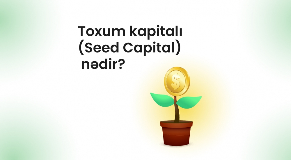 Toxum kapitalı (Seed Capital) nədir?