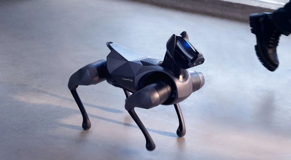 Doberman kimi görünən yeni nəsil robot: Xiaomi CyberDog 2