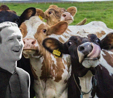 Mark Zuckerberg built a farm