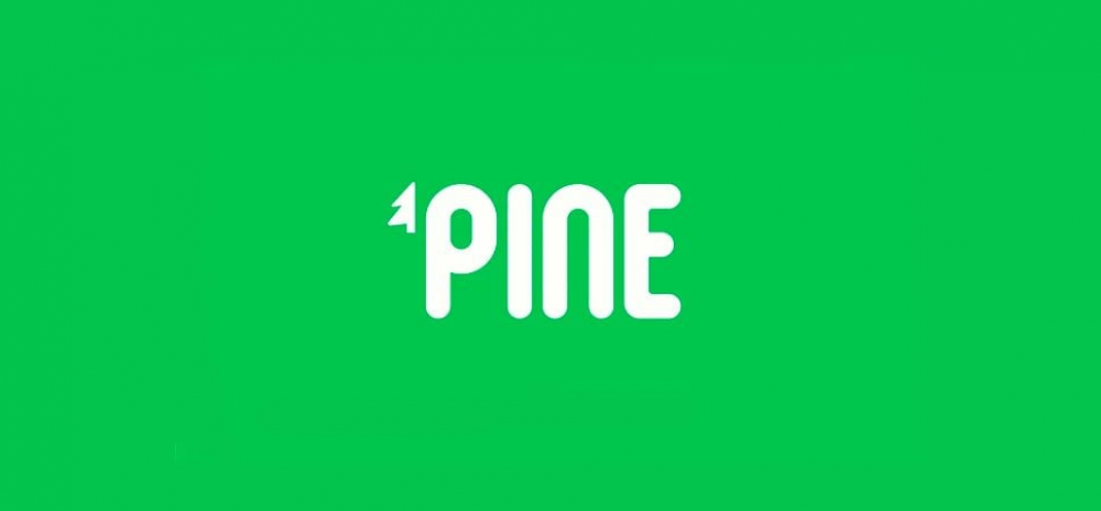 Pine Games 2,25 milyon dolar investisiya alıb