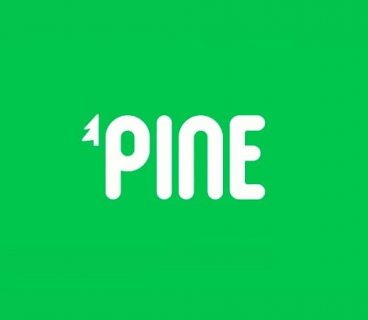 Pine Games 2,25 milyon dolar investisiya alıb
