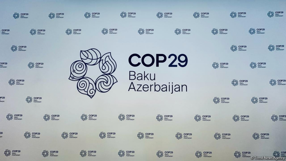 COP29 loqosu təqdim edildi
