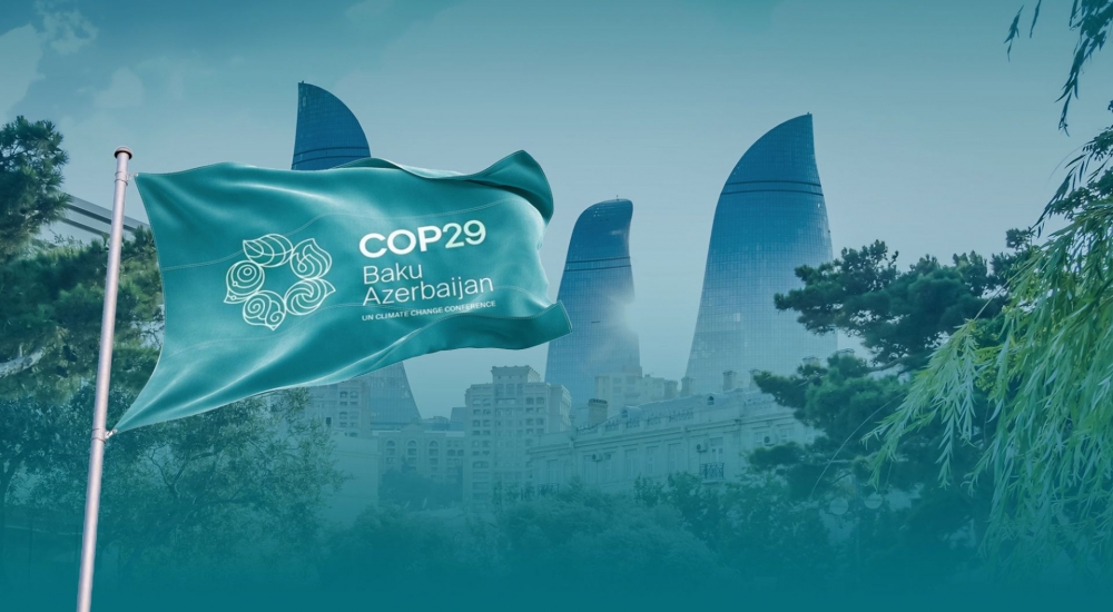 COP29 in Baku: A Defining Moment for Sustainability and Climate Finance