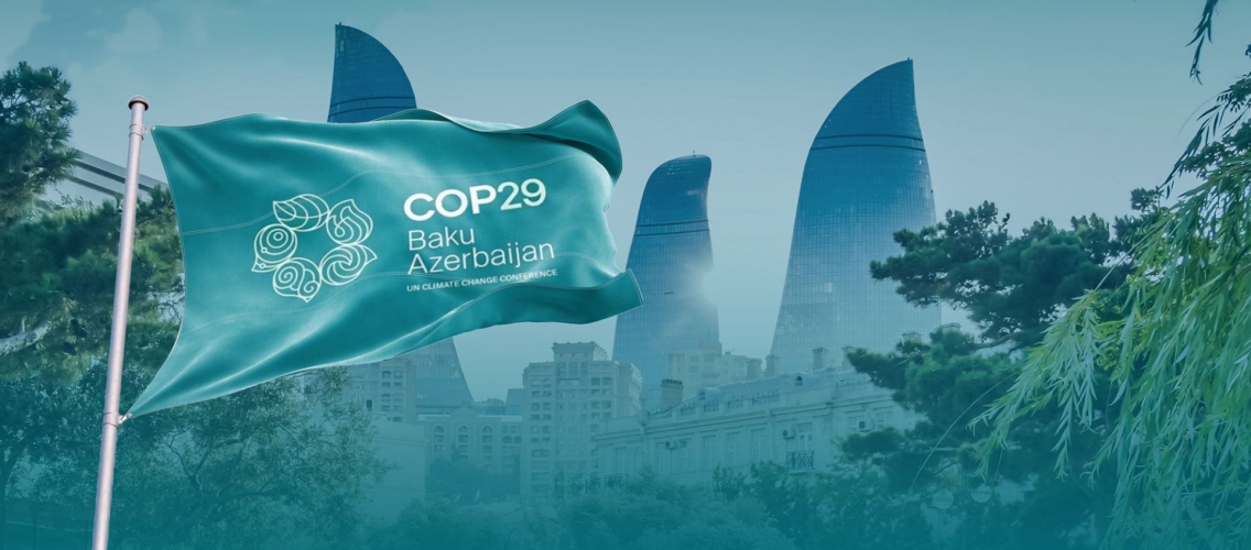 COP29 in Baku: A Defining Moment for Sustainability and Climate Finance