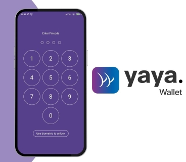 Gürcüstanın fintech startapı Yaya 100 000 dollar investisiya əldə edib