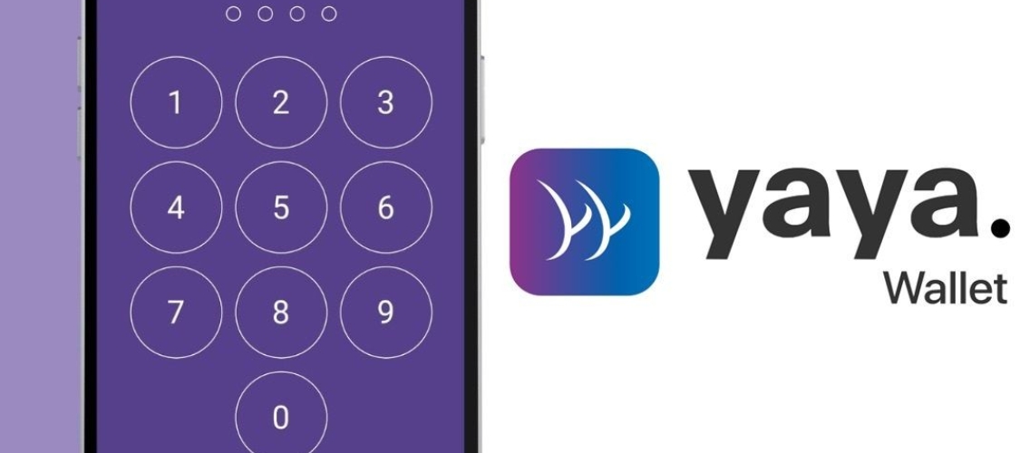 The Georgian fintech startup Yaya has secured a \$100,000 investment