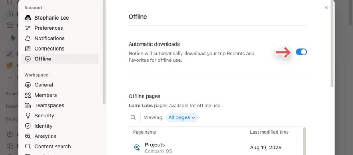 Notıon artıq internet bağlantısı olmadan işləyir