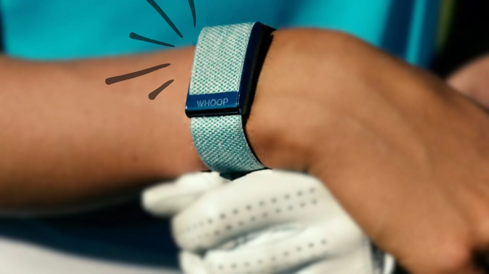 Qətərdə "WHOOP"un ilk laboratoriyası açıldı