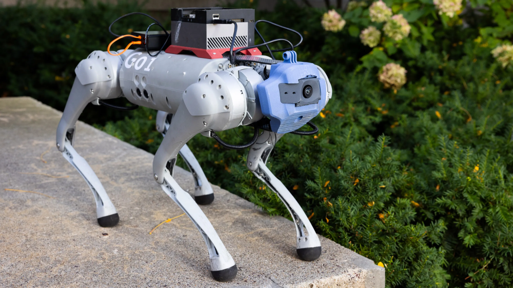 Kazakhstan begins using robot dogs for security purposes