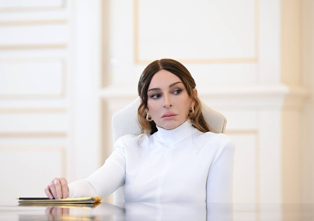 Digital Development Council established - Chaired by Mehriban Aliyeva
