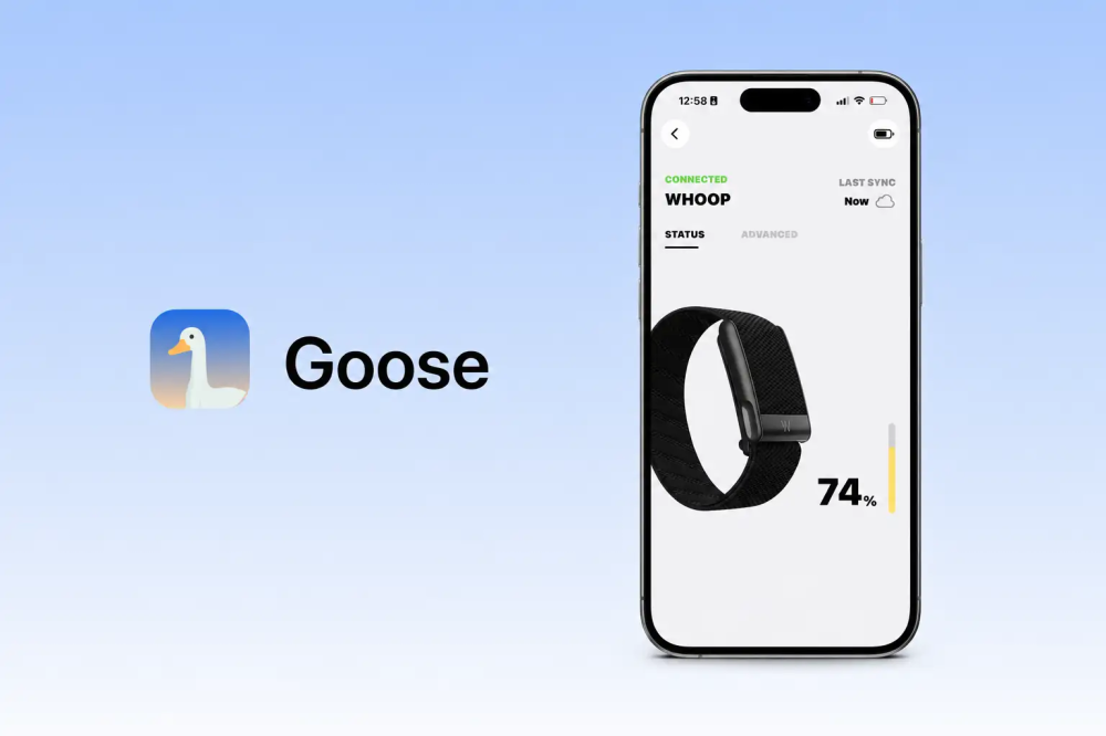 A free alternative to Whoop has been created - Goose