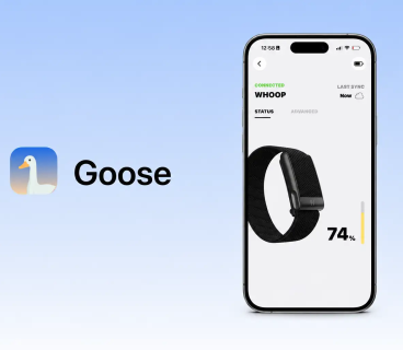 A free alternative to Whoop has been created - Goose