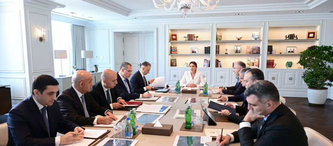 Birinci vitse-prezident Mehriban Əliyevanın sədrliyi ilə Rəqəmsal İnkişaf Şurasının ilk iclası keçirilib