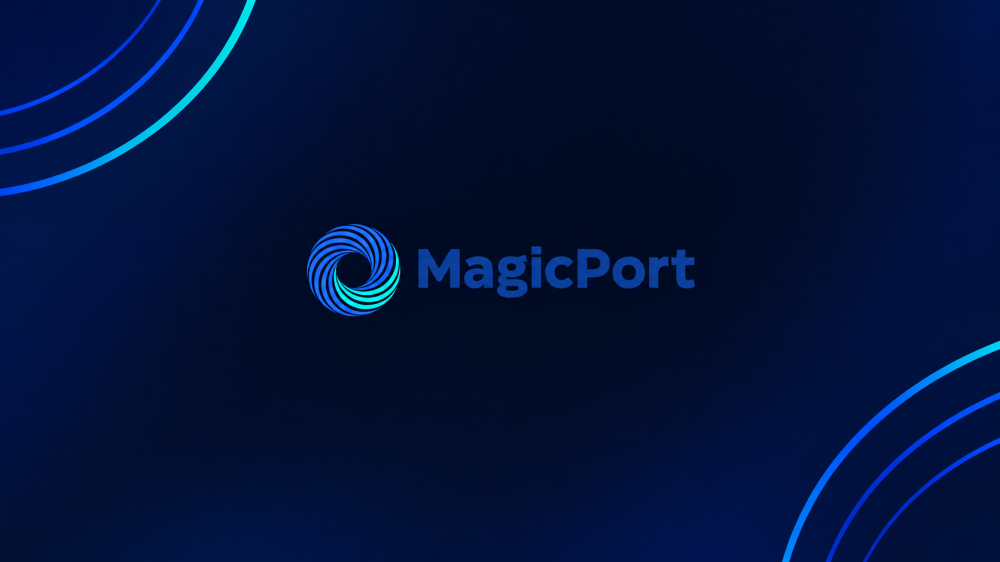 The Digital Infrastructure of Maritime Trade: What Does MagicPort Do?